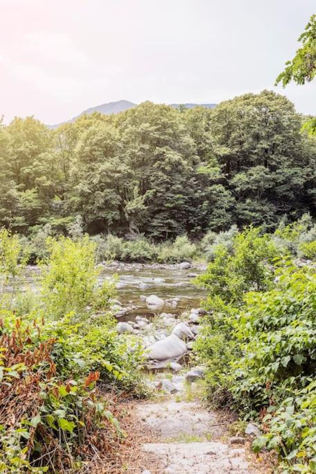 Immersi Nella Natura Con Accesso Al Fiume Maggia Сasa de vacaciones Locarno